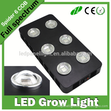 Spider 6 COB LED grow light compare with HID power bloom plus mimics the noon day sun